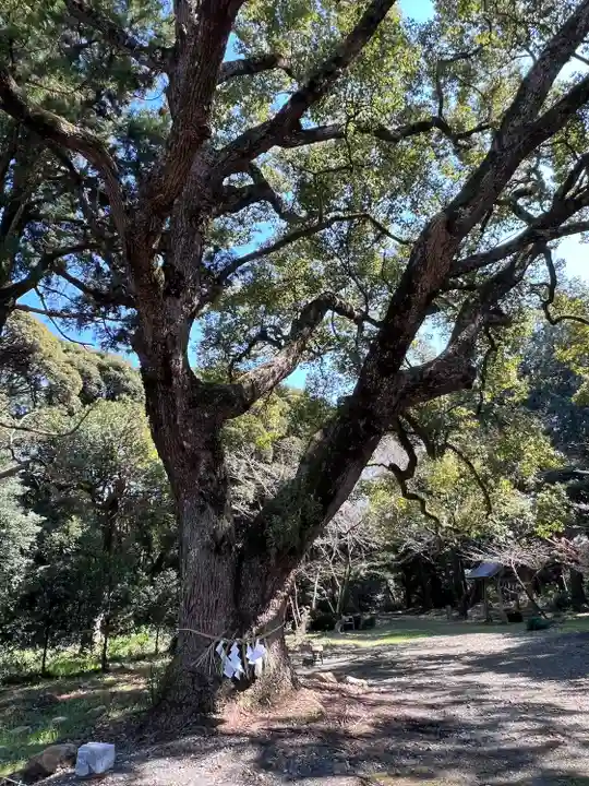 曽許乃御立神社(静岡県)