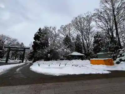 射水神社の{uncategorized: "未分類", other: "その他", undefined: "問題あり", building: "その他建物", grave: "お墓", sacred_gate: "鳥居", guardian: "狛犬", statue: "像", buddha: "仏像", history: "歴史", nature: "自然", garden: "庭園", animal: "動物", pagoda: "塔", temizu: "手水舎", mountain_gate: "山門・神門", sanctuary: "本殿・本堂", subordinate: "末社・摂社", art: "芸術", scenery: "景色", jizo: "地蔵", ema: "絵馬", goshuin: "御朱印", omikuji: "おみくじ", items: "授与品その他", amulet: "お守り", goshuincho: "御朱印帳", eats: "食事", festival: "お祭り", votive_dance: "神楽", shichigosan: "七五三参", wedding: "結婚式", experience: "体験その他", initially: "初詣", around: "周辺", anti_infection: "感染症対策"}