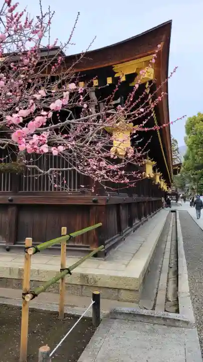 北野天満宮の{uncategorized: "未分類", other: "その他", undefined: "問題あり", building: "その他建物", grave: "お墓", sacred_gate: "鳥居", guardian: "狛犬", statue: "像", buddha: "仏像", history: "歴史", nature: "自然", garden: "庭園", animal: "動物", pagoda: "塔", temizu: "手水舎", mountain_gate: "山門・神門", sanctuary: "本殿・本堂", subordinate: "末社・摂社", art: "芸術", scenery: "景色", jizo: "地蔵", ema: "絵馬", goshuin: "御朱印", omikuji: "おみくじ", items: "授与品その他", amulet: "お守り", goshuincho: "御朱印帳", eats: "食事", festival: "お祭り", votive_dance: "神楽", shichigosan: "七五三参", wedding: "結婚式", experience: "体験その他", initially: "初詣", around: "周辺", anti_infection: "感染症対策"}