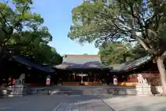 兵庫縣姫路護國神社(兵庫県)