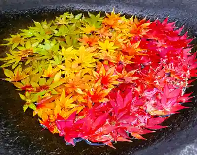 真言宗　善通寺派　薬王寺(香川県)