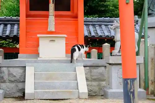 多治速比売神社の動物