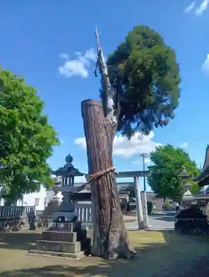 白山社（前飛保町）(愛知県)