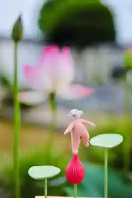 浄土寺(兵庫県)