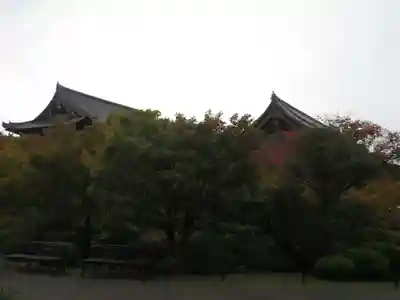 東寺(教王護国寺)の本殿・本堂