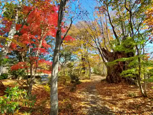 緑水神社の自然