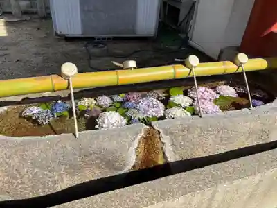 福應神社(兵庫県)