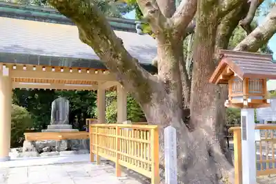 和泉國一之宮　大鳥大社のその他建物