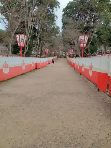 醍醐寺(京都府)