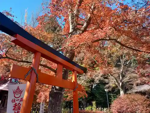 多聞院の鳥居