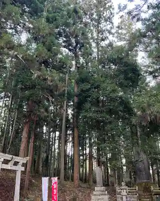 大宮温泉神社のその他建物