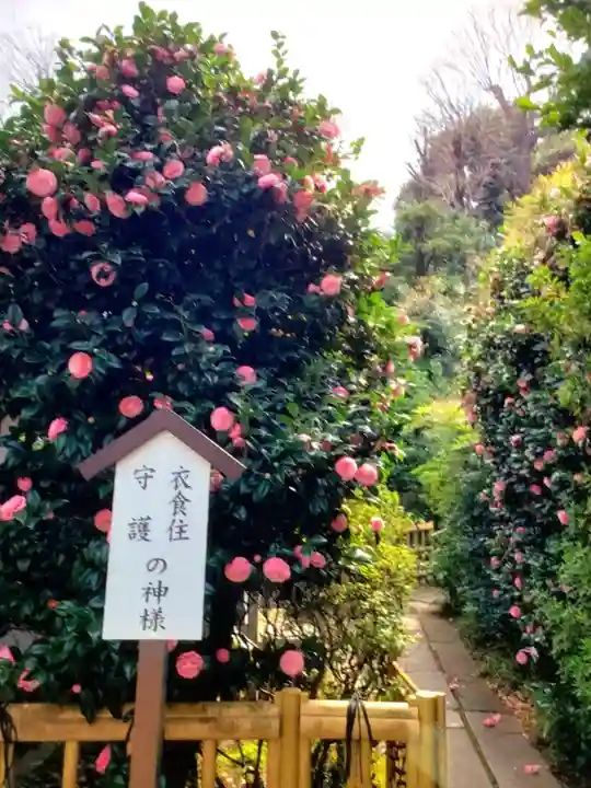 白金氷川神社(東京都)