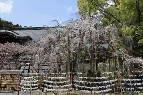 近江神宮(滋賀県)