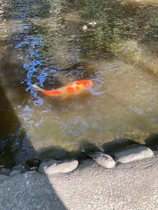 平塚八幡宮(神奈川県)