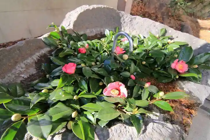 愛宕神社の手水舎