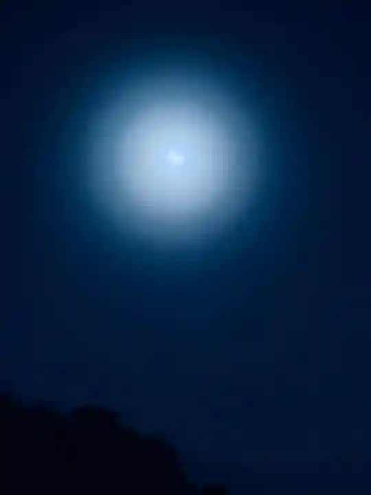 浄土寺(兵庫県)