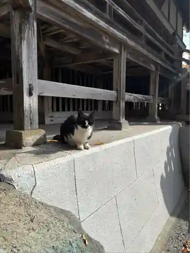 奥氷川神社(東京都)