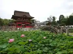 伊賀八幡宮の庭園