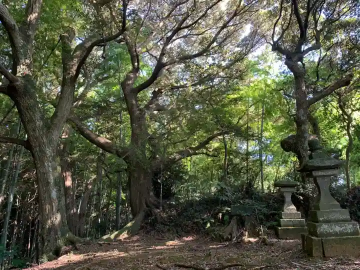 正一位稲荷大明神(千葉県)