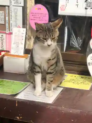 王子神社(徳島県)