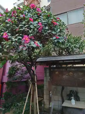 笠間稲荷神社 東京別社(東京都)
