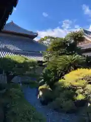 十輪寺の庭園