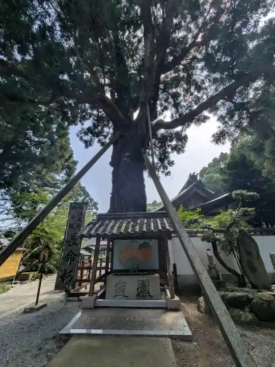 極楽寺(徳島県)