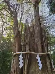 大國魂神社(東京都)