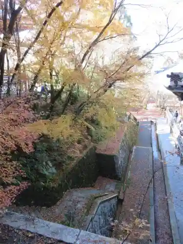 禅林寺（永観堂）の自然