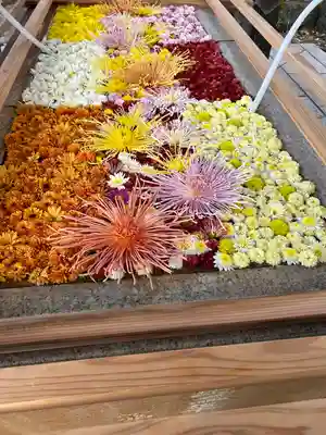 笠間稲荷神社(茨城県)