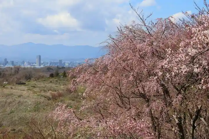 高屋敷稲荷神社の景色