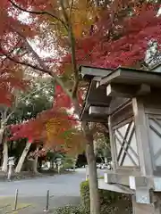 大洗磯前神社(茨城県)