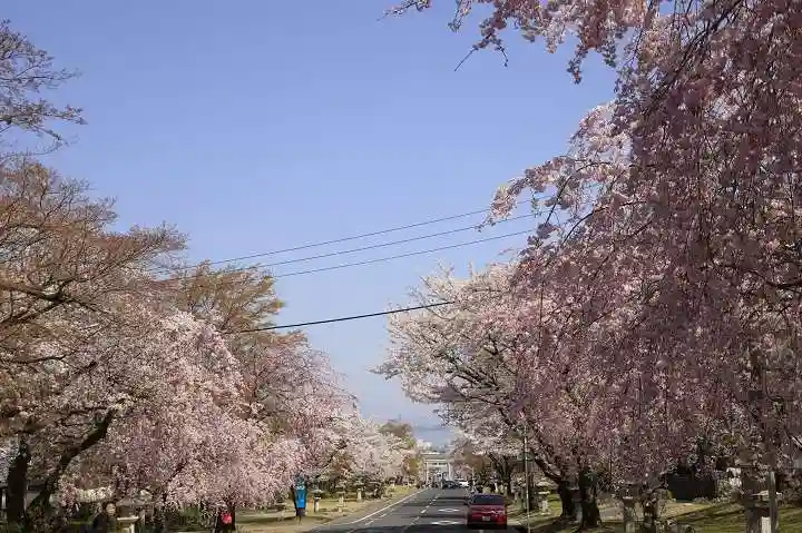 日吉大社の自然