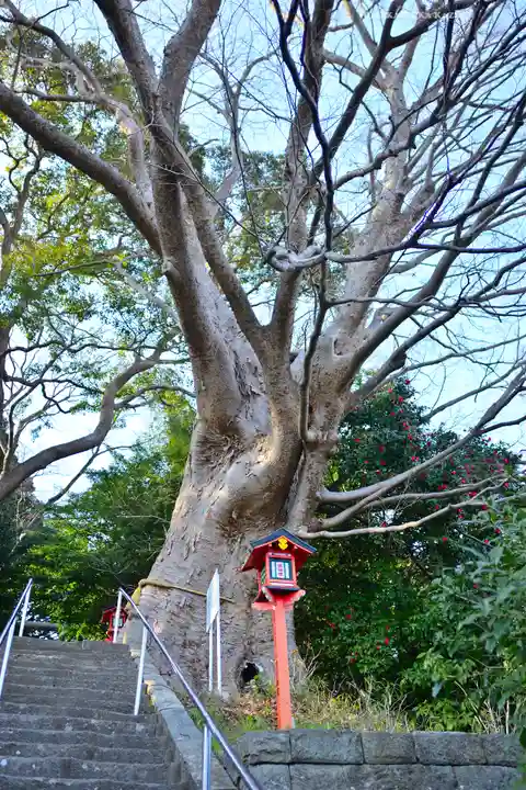 常陸第三宮 吉田神社(茨城県)