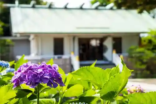 深澤神社の本殿・本堂