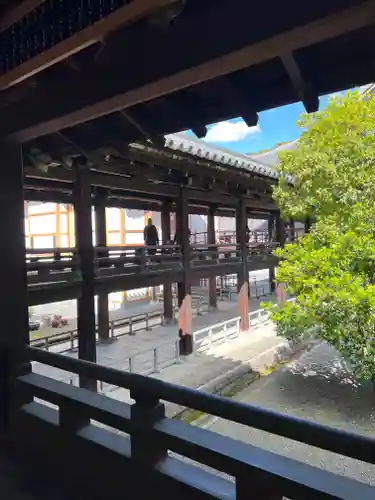知恩院(京都府)