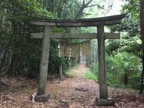 胎安神社の鳥居