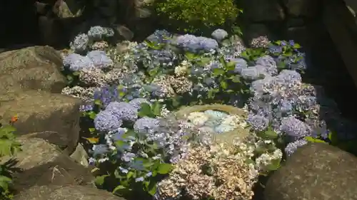 岡寺（龍蓋寺）(奈良県)