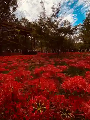 高麗神社(埼玉県)