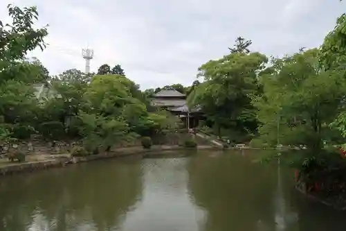 興善寺(大阪府)