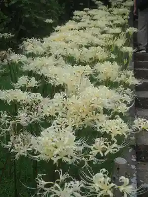 横浜　西方寺(神奈川県)