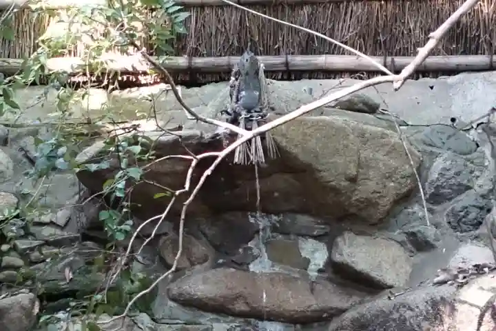 垂水神社のその他建物