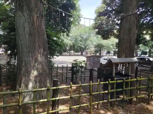 神明大神宮(神奈川県)