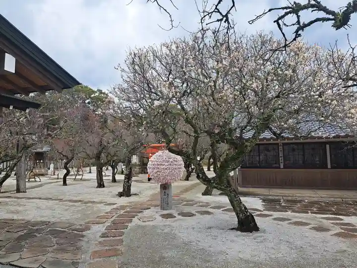綱敷天満宮(福岡県)