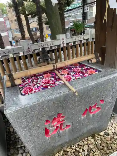 高円寺氷川神社の手水