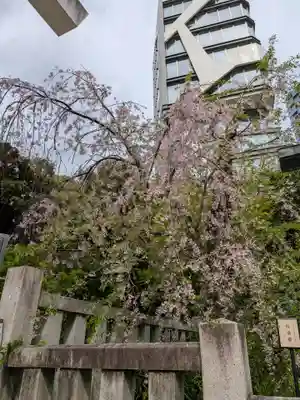 乃木神社(東京都)