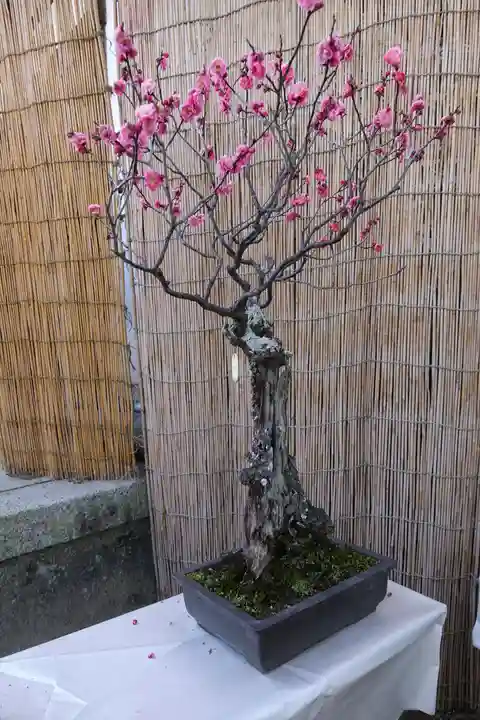 菅原天満宮(菅原神社)のその他建物