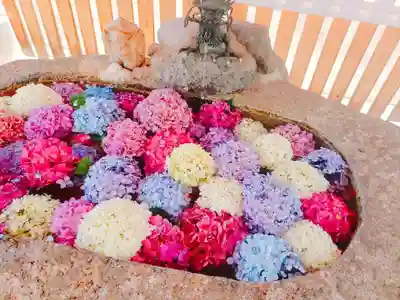 別小江神社の手水舎