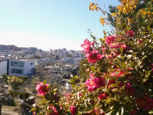 天嶽院の景色