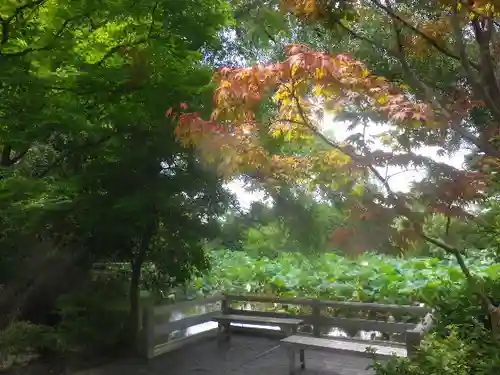 鶴岡八幡宮の庭園